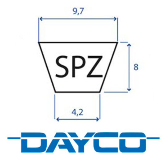 205.SPZ862